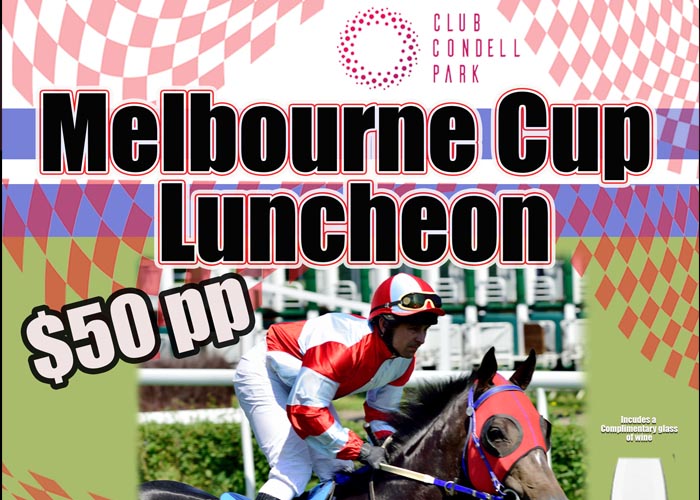 Melbourne cup luncheon